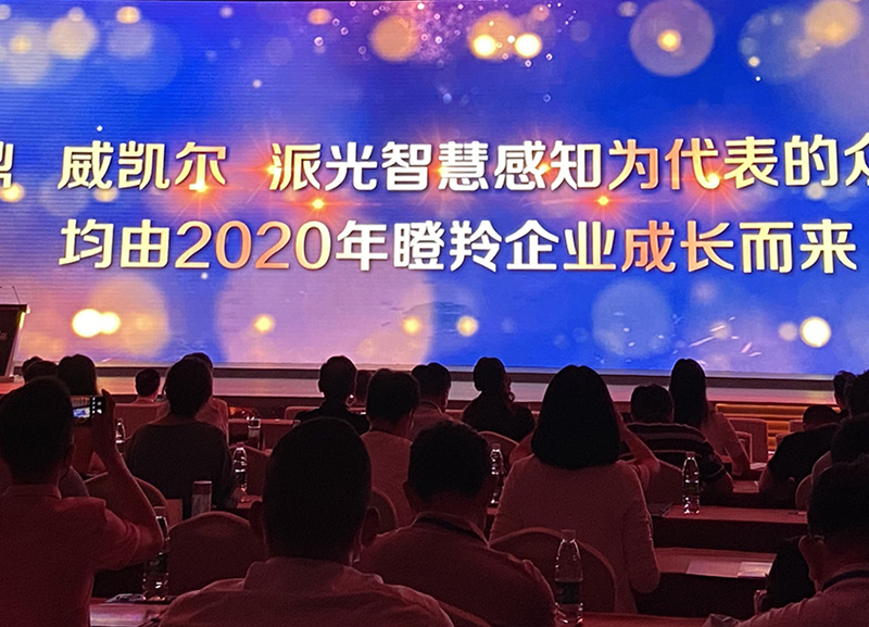 喜訊！威凱爾醫藥入選2021年度南京市培育獨角獸企業